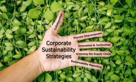 Are Environmental Collaborative Strategies Greener Pastures?
