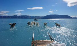 Melting ice a hot topic: Trust in sea ice information products essential to safely navigate a changing Arctic Ocean