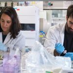 Two scientists at work