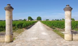 Chinese acquisitions in the Bordeaux vineyards: have their new owners really been neglecting them?