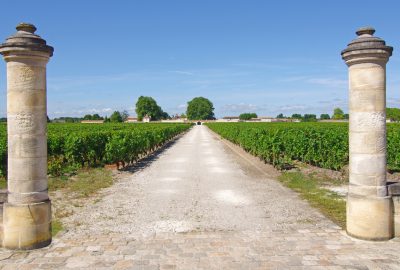 Chinese acquisitions in the Bordeaux vineyards: have their new owners really been neglecting them?